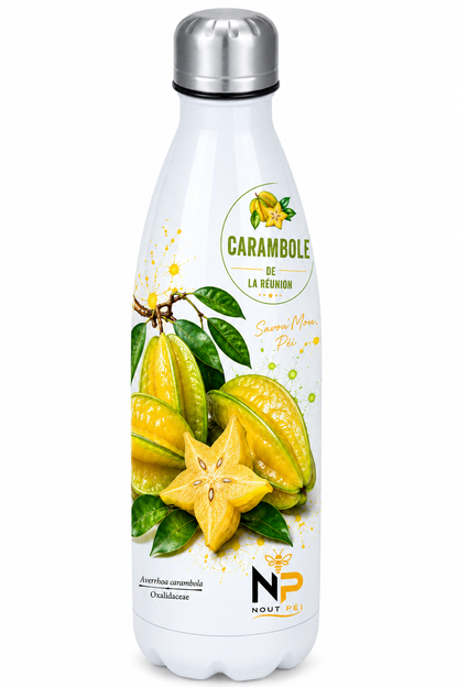 Gourde isotherme Carambole de La Réunion – Inox 500 ml | Nout Péi