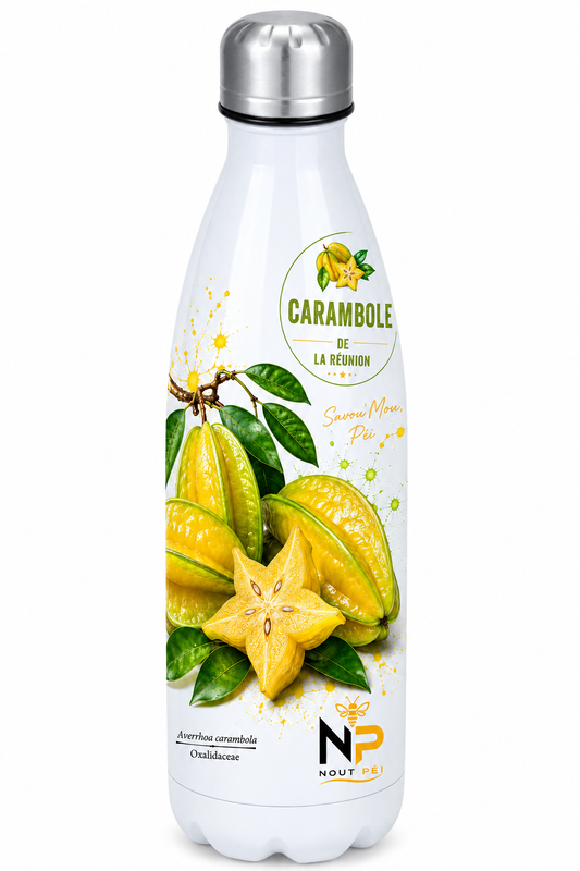 Gourde isotherme Carambole de La Réunion – Inox 500 ml | Nout Péi