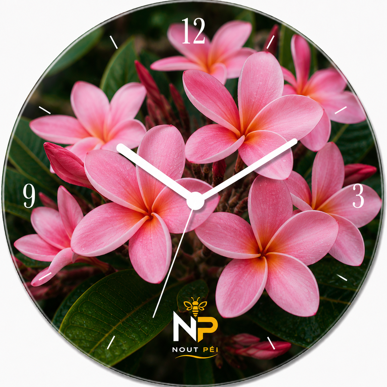 Horloge murale Frangipanier Rose  | Nout Péi