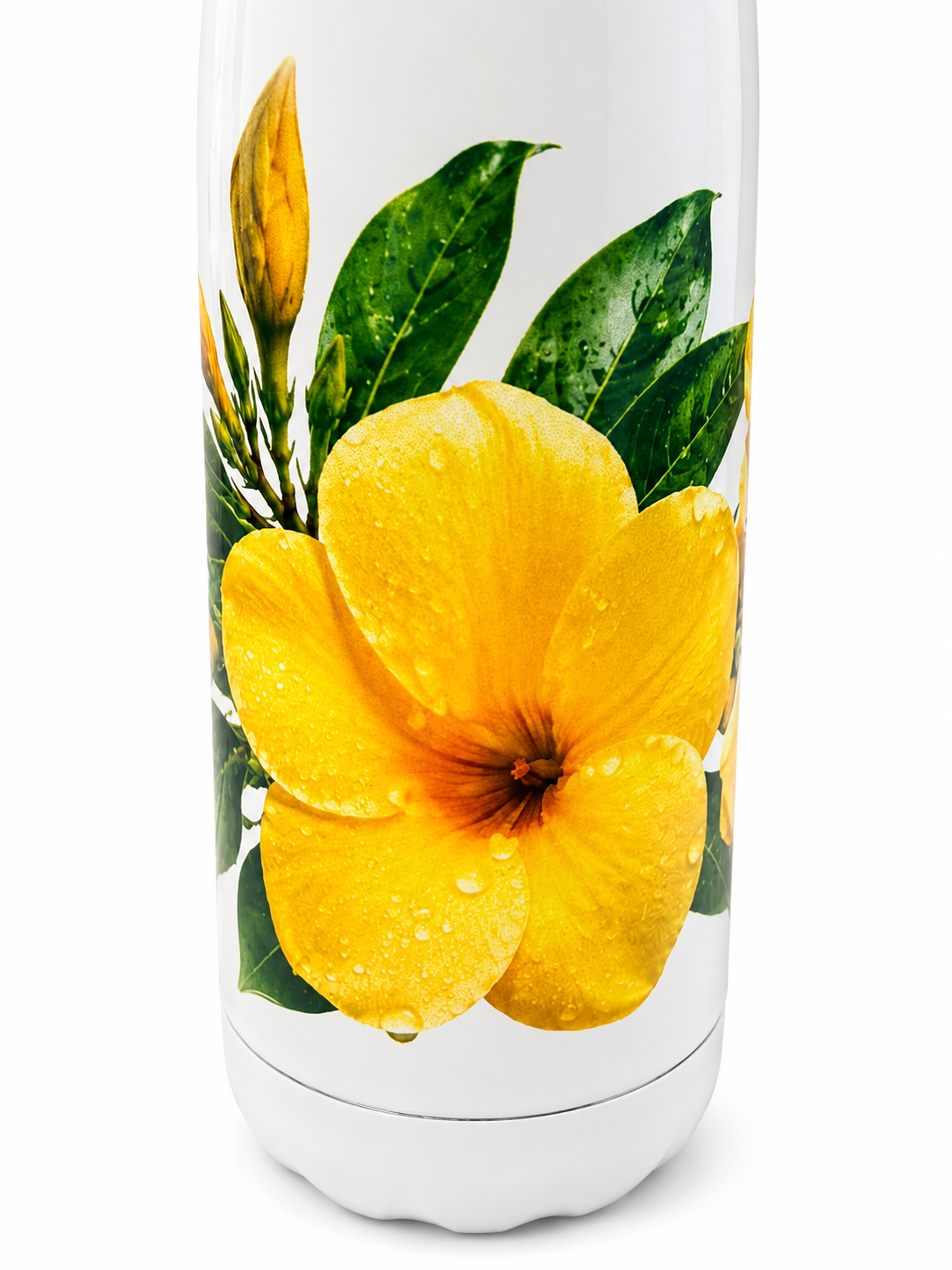 Gourde Isotherme 500 ml – Edition Alamanda