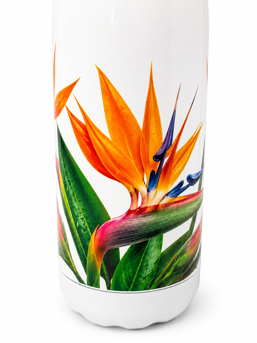 Gourde Isotherme 500 ml – Edition Oiseau de paradis