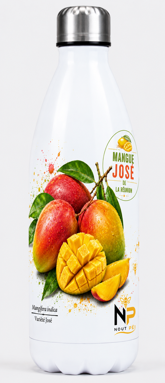 Gourde isotherme 500 ml – Mangue José de La Réunion | Nout Péi