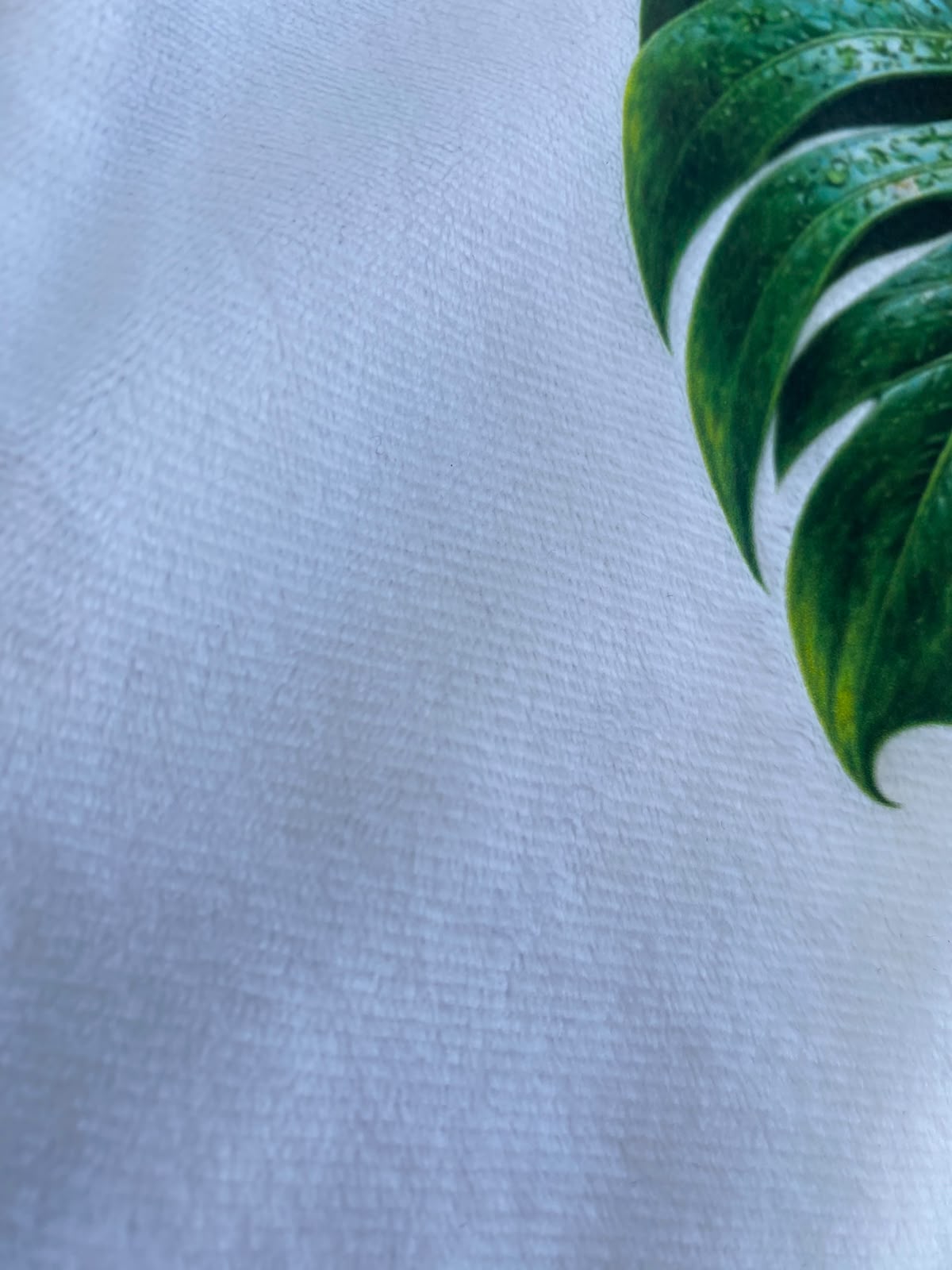 Oreiller Tropical Fleurs de La Réunion – 40 × 40 cm – Effet Peluche| Nout Pei